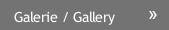 Galerie / Gallery
